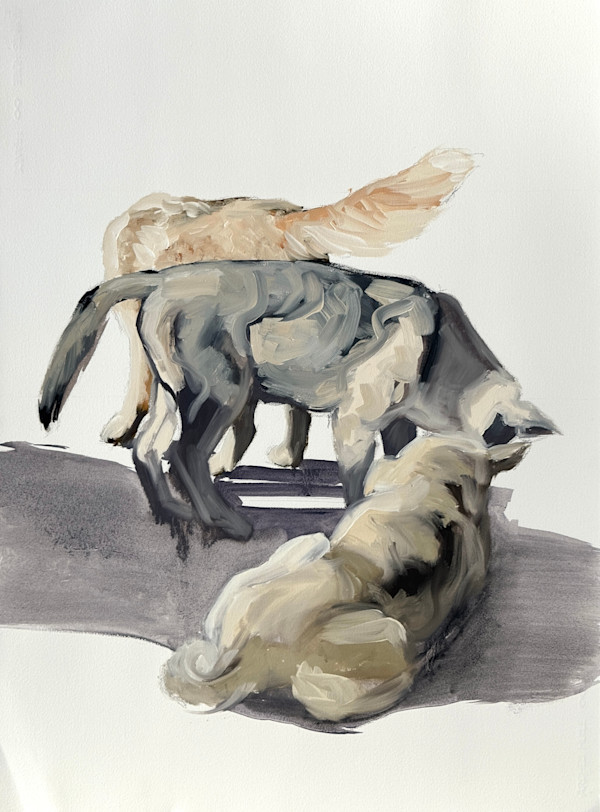 Something interesting by Philine van der Vegte