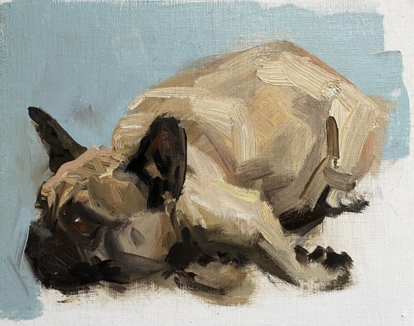 Gallery dog by Philine van der Vegte