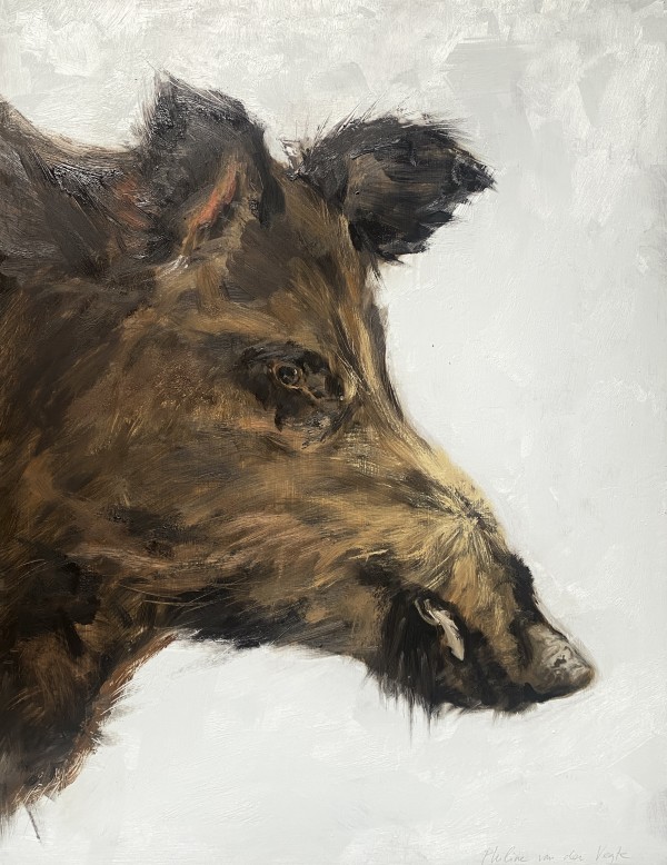 Wild boar by Philine van der Vegte