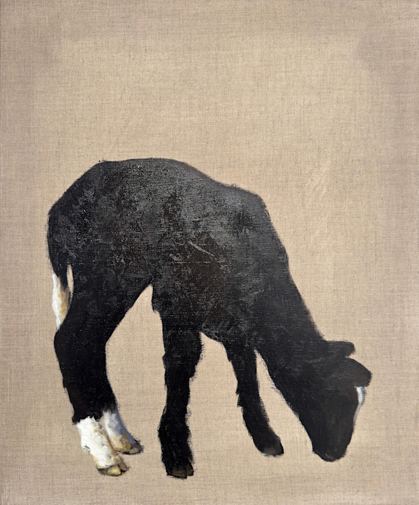 Shades of black by Philine van der Vegte, Image 1.