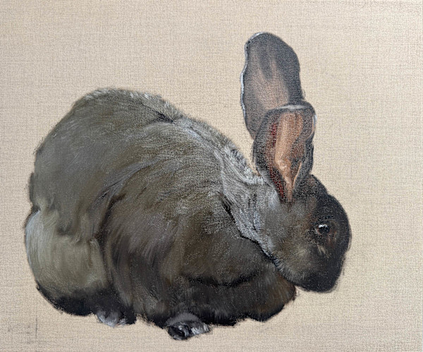 Vlaamse reus (Flemish Giant) II by Philine van der Vegte, Image 2.