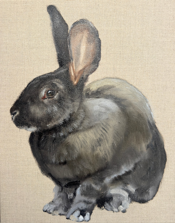 Vlaamse reus (Flemish Giant) II by Philine van der Vegte