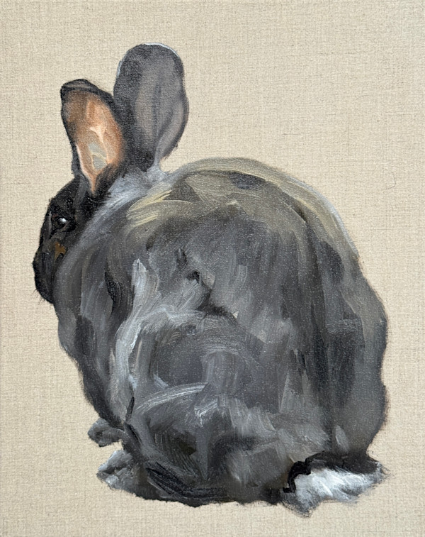 Vlaamse reus (Flemish Giant) III by Philine van der Vegte, Image 1.