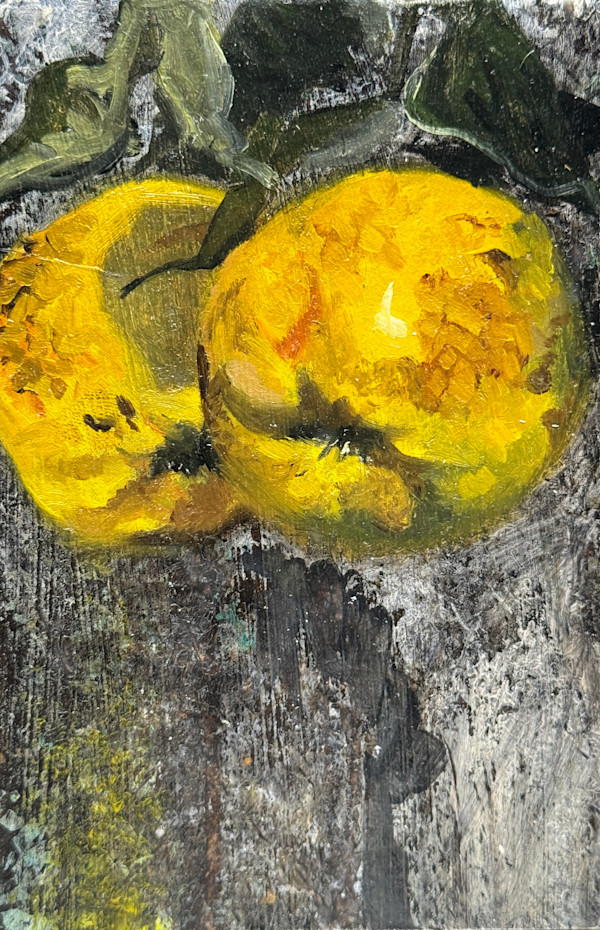 Quince IV by Philine van der Vegte