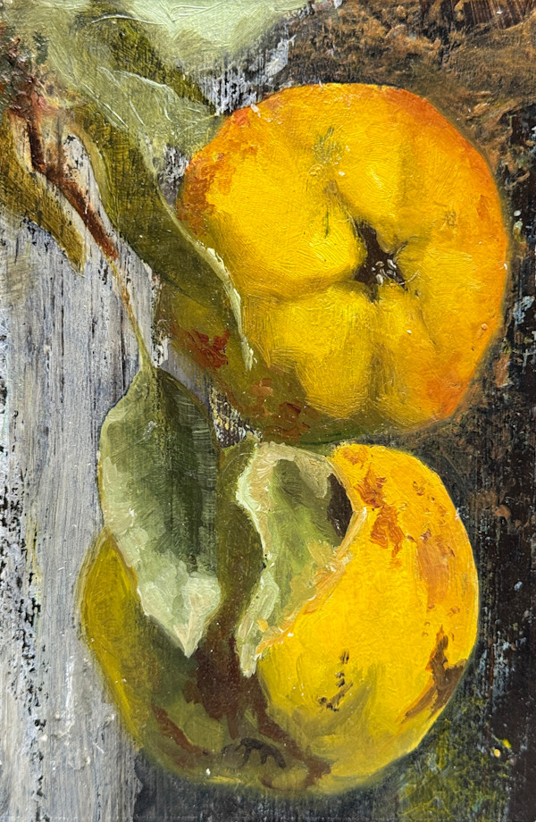 Quince II by Philine van der Vegte