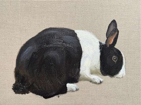 Hollandertje (Dutch rabbit) by Philine van der Vegte, Image 1.