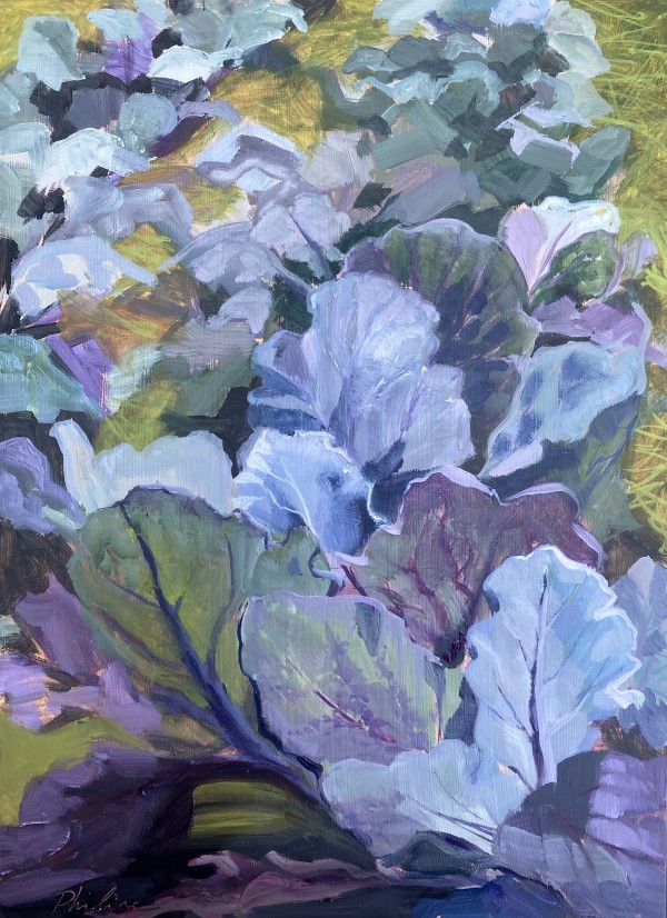 Cabbage field by Philine van der Vegte