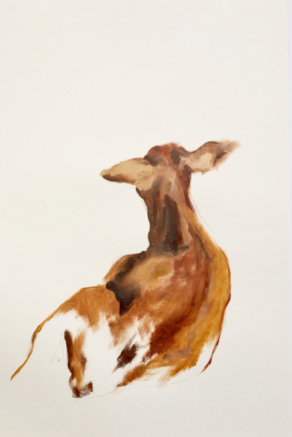 Portrait of calf #0205 by Philine van der Vegte