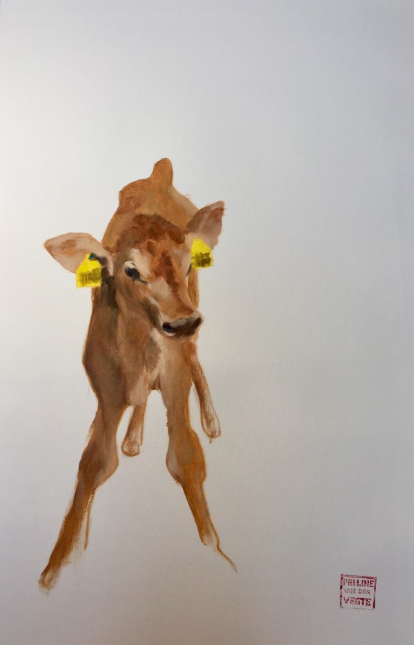 Portrait of calf #0200 by Philine van der Vegte