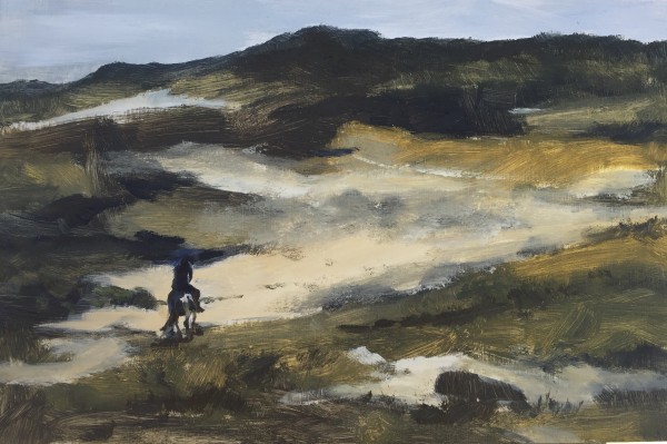 Riding in the dunes by Philine van der Vegte
