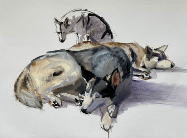 Working dogs by Philine van der Vegte