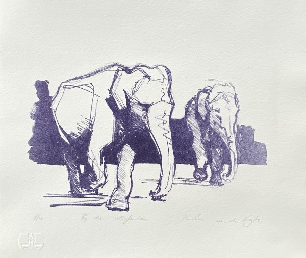 Bij de olifanten (At the elephants) by Philine van der Vegte