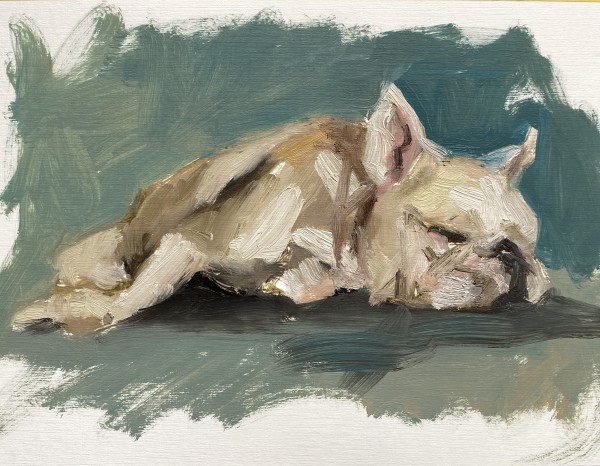 Sleeping doggie by Philine van der Vegte