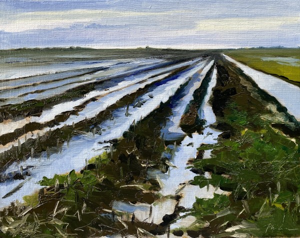 Winter field by Philine van der Vegte