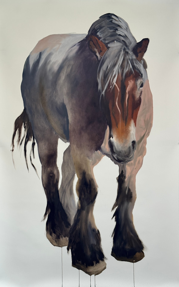 Poitou horse by Philine van der Vegte