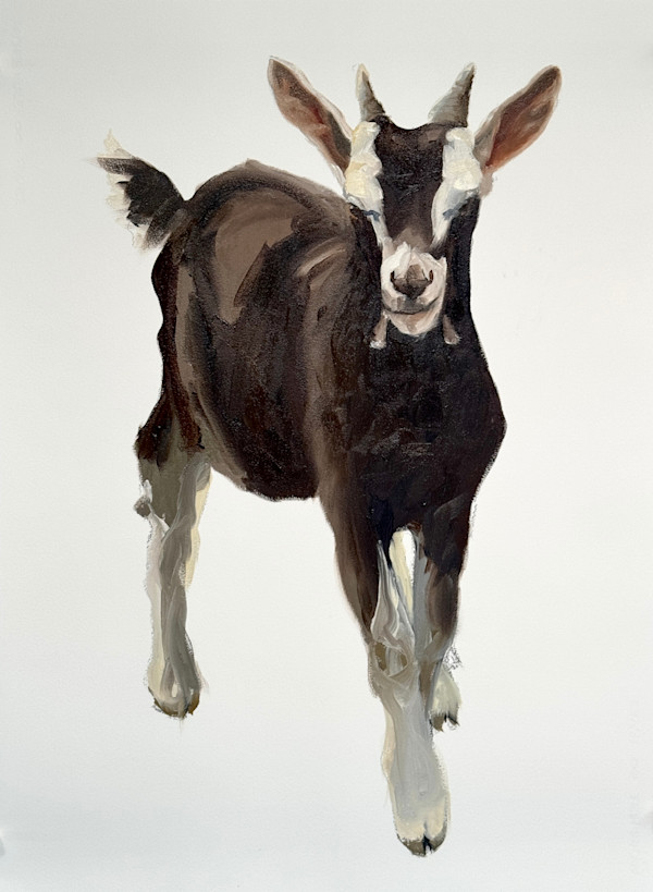 Looking for trouble by Philine van der Vegte