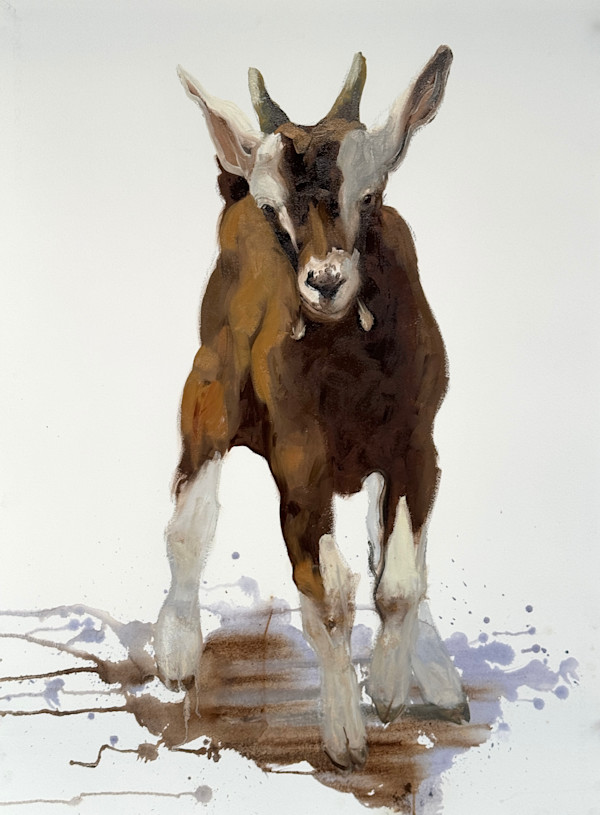 Toggenburg kid by Philine van der Vegte