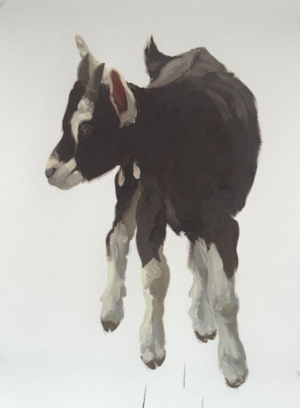 Young goat, standing by Philine van der Vegte
