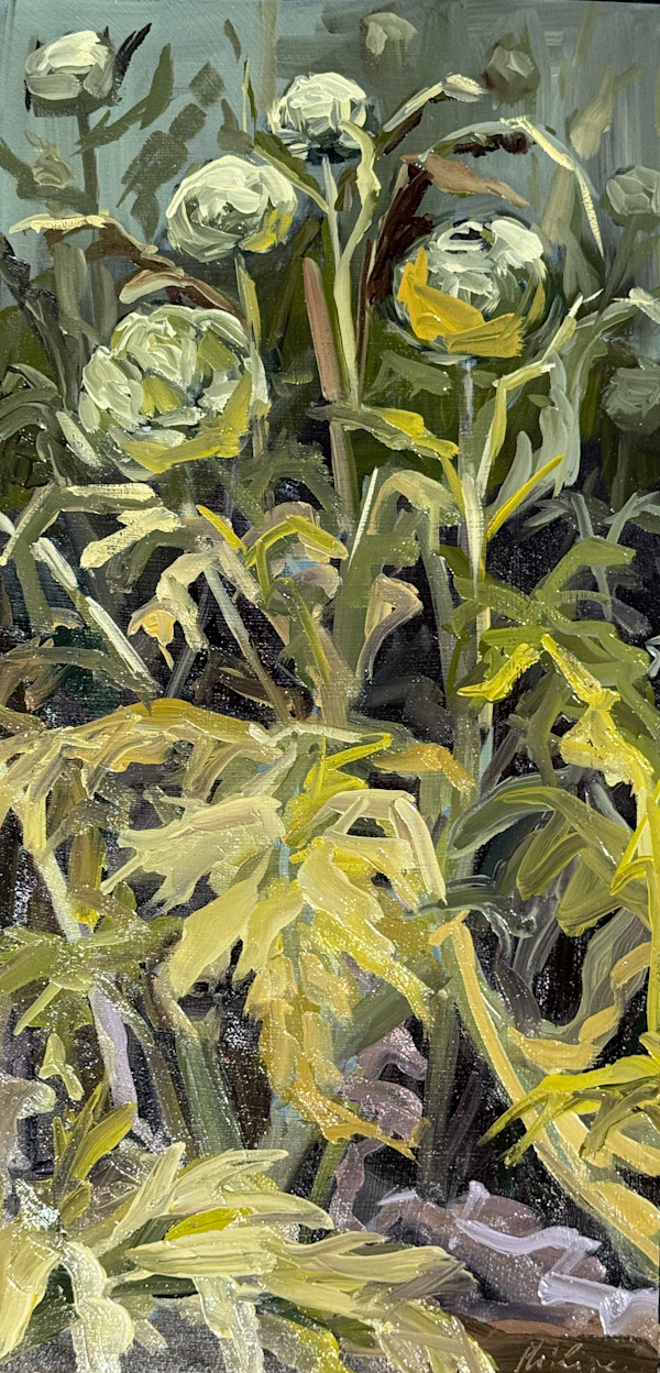 Artisjokken by Philine van der Vegte