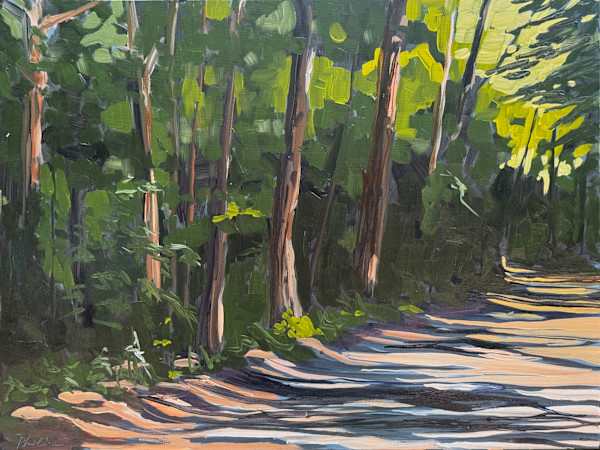 Shadow path by Philine van der Vegte