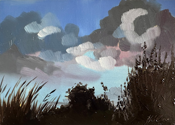 Evening clouds by Philine van der Vegte