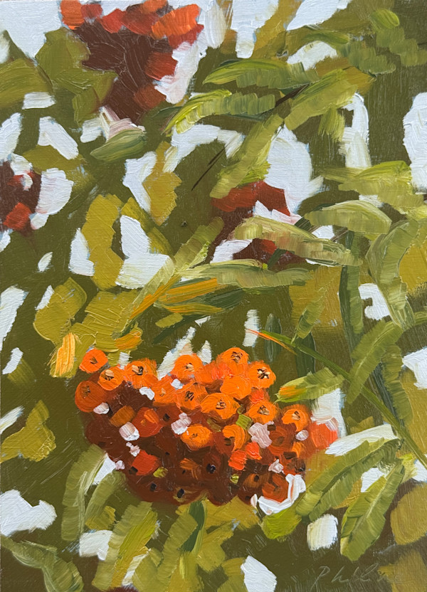 Lijsterbes (Rowan) by Philine van der Vegte