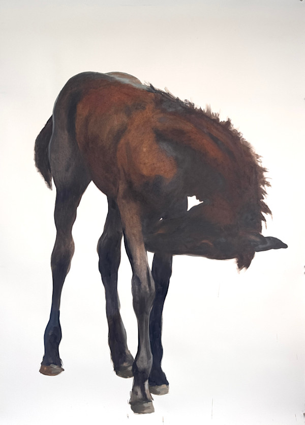 Grooming foal by Philine van der Vegte
