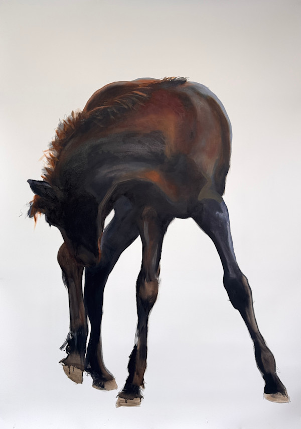 Endless legs by Philine van der Vegte