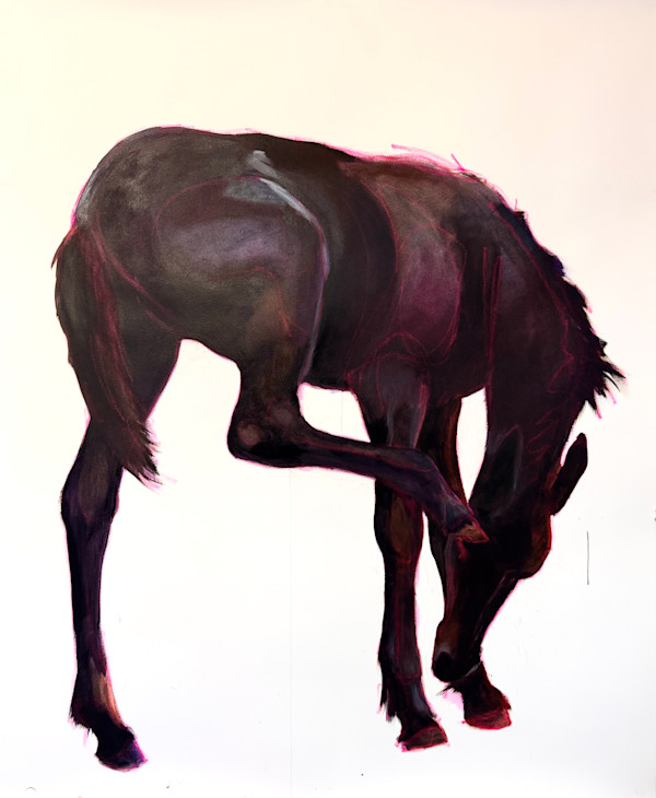 Foal, with sketch lines by Philine van der Vegte