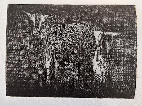 Ode aan Mankes by Philine van der Vegte