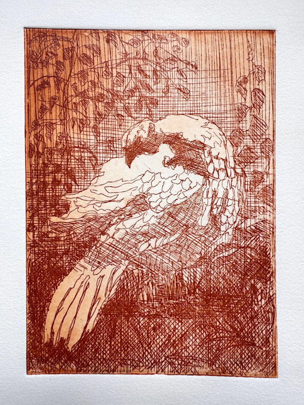 Preening by Philine van der Vegte