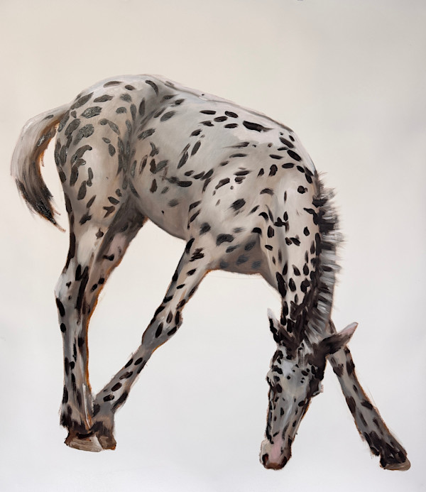 The price of desire by Philine van der Vegte