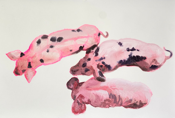 Three little pigs by Philine van der Vegte