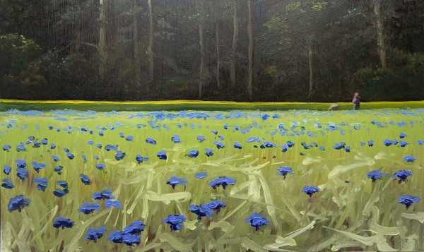 Cornflowers by Philine van der Vegte