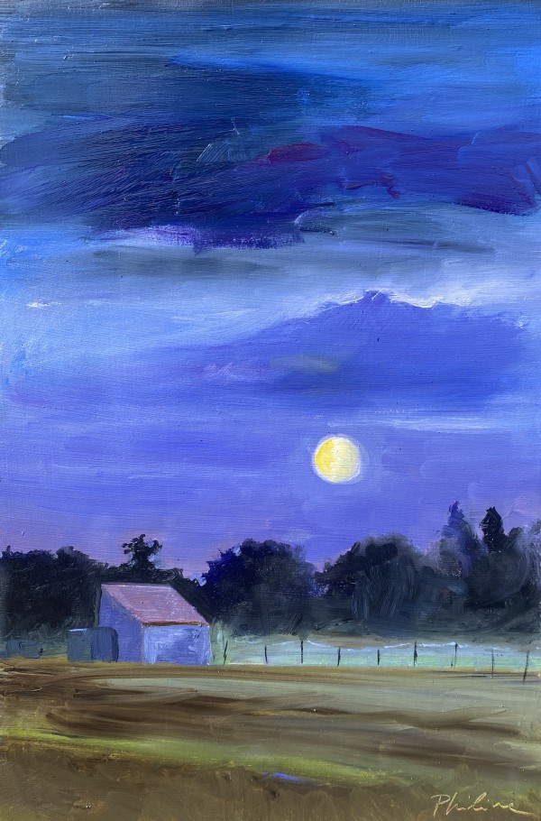 Bollenschuurtje bij maanlicht (Bulb shed by moonlight) by Philine van der Vegte