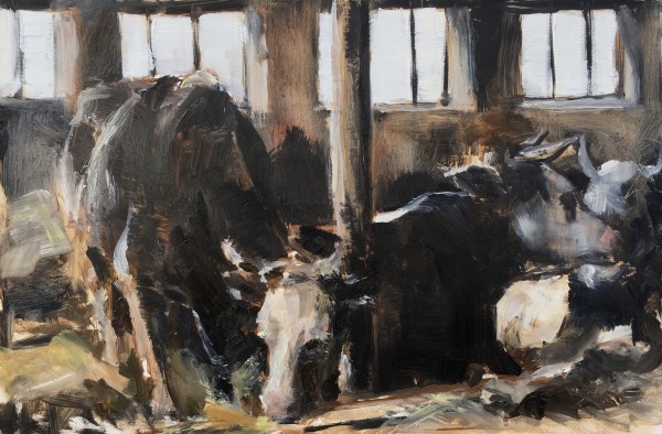 Resting cows by Philine van der Vegte