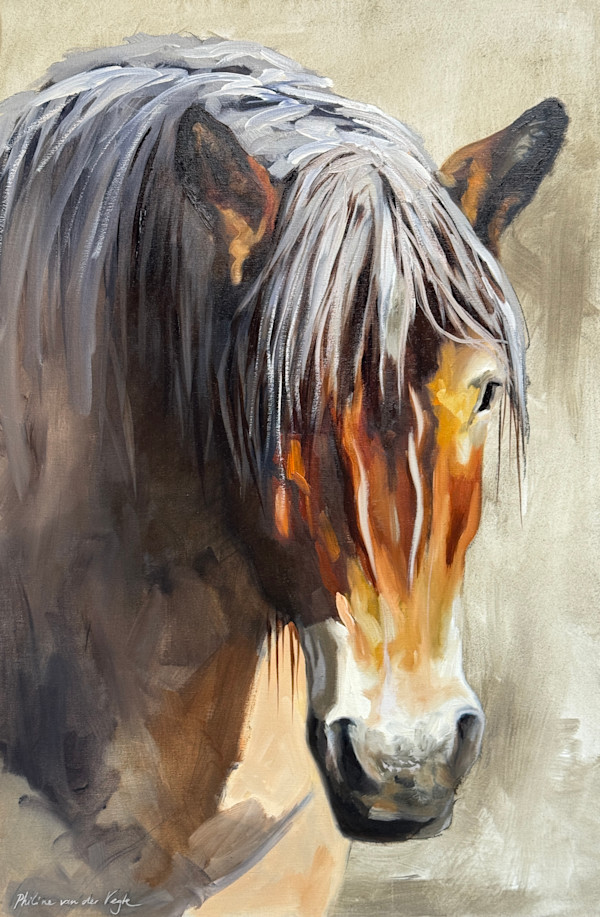 Golden light by Philine van der Vegte, Image 1.