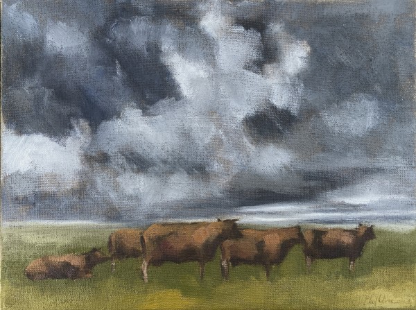 Wind en regen (Wind and rain) by Philine van der Vegte