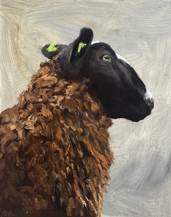 Zwartbles head by Philine van der Vegte, Image 2.