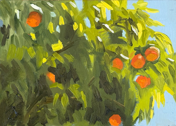 Jardin Jnan Sbil by Philine van der Vegte, Image 1.