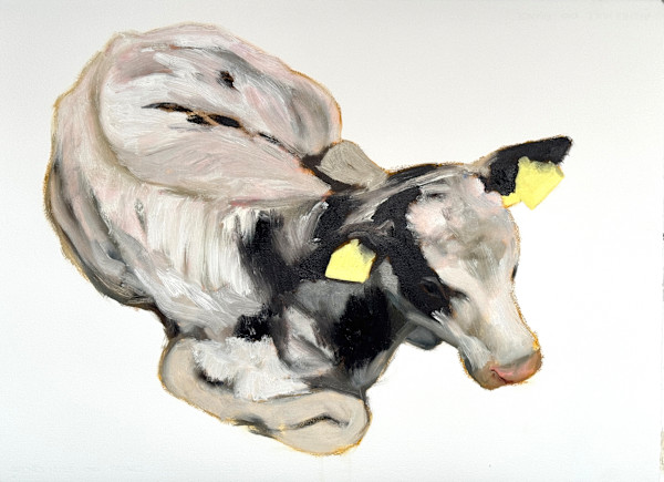 Surplus by Philine van der Vegte, Image 2.