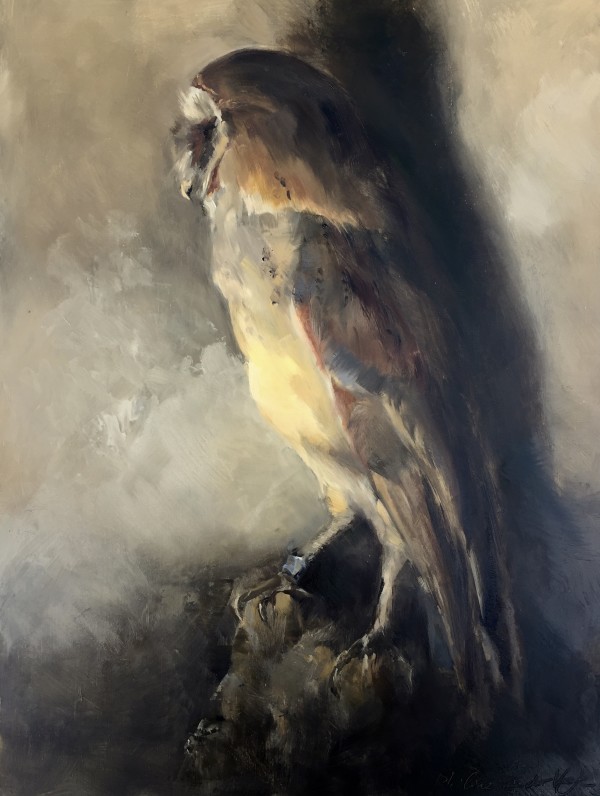 Kerkuil (Barn owl) by Philine van der Vegte