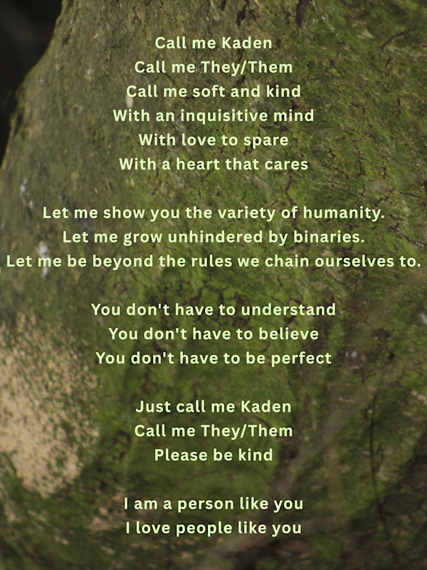 New Growth, 2026 by Kaden Grouby, Image 1.