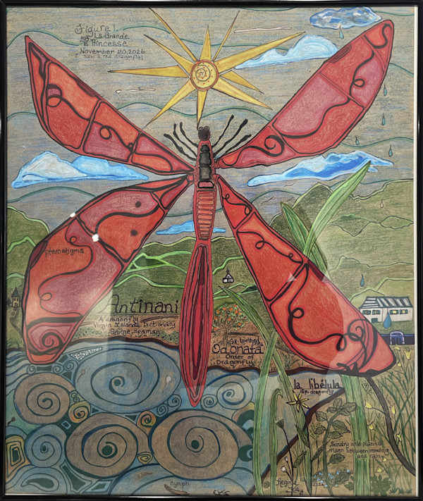 Dragonfly Splendas by Regina Kay, Image 1.