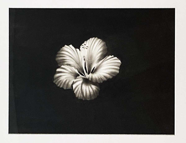 Bloom by Antonio 'C3' Cruz, Image 1.