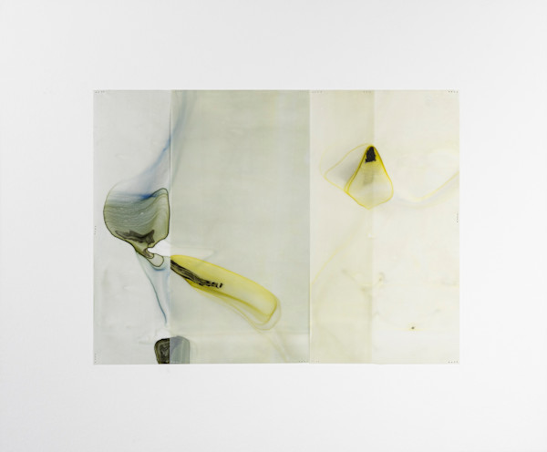 Etude #79 by Dara Mark