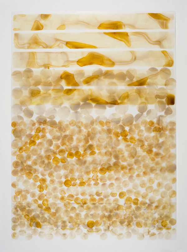 Golden Curtain by Dara Mark