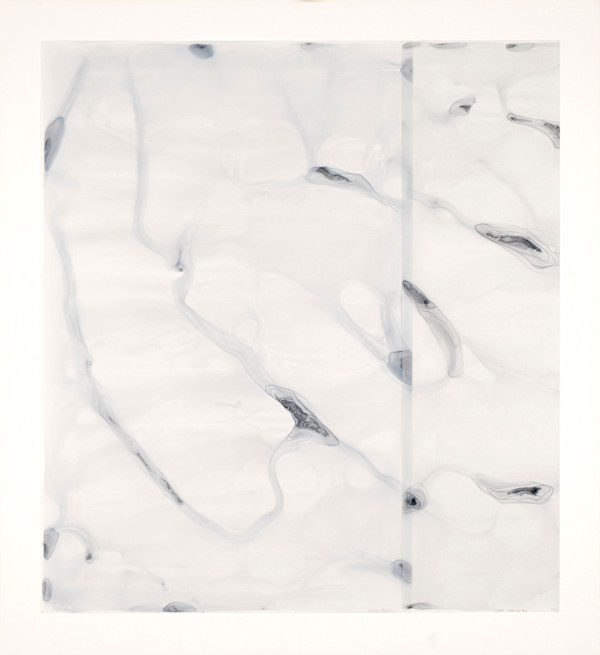 Water Drawing #2 by Dara Mark