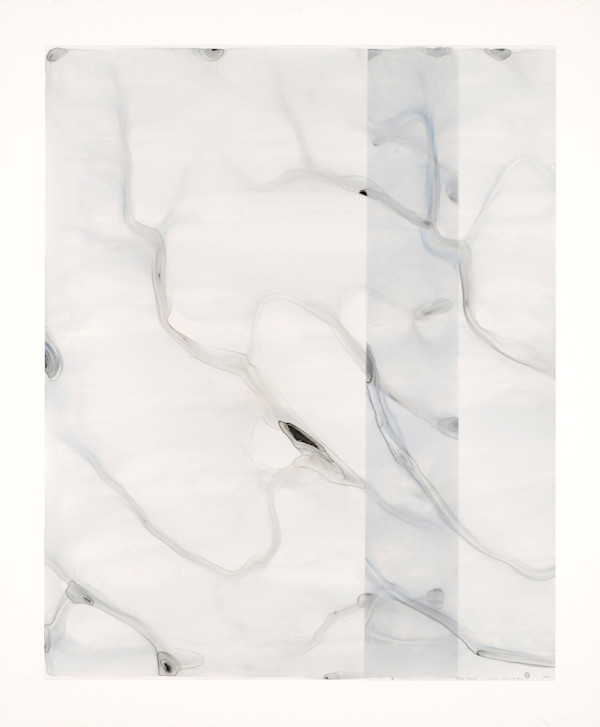 Water Drawing #3 by Dara Mark