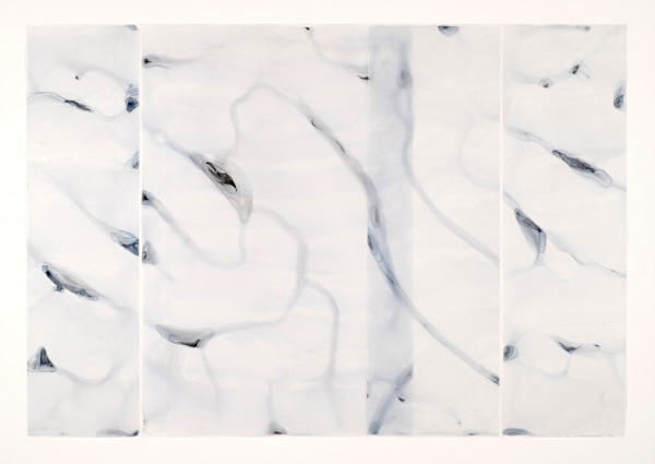 Water Drawing #9 by Dara Mark